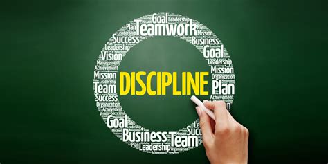 Understanding Discipline in Bitlife: A Guide to Success.
